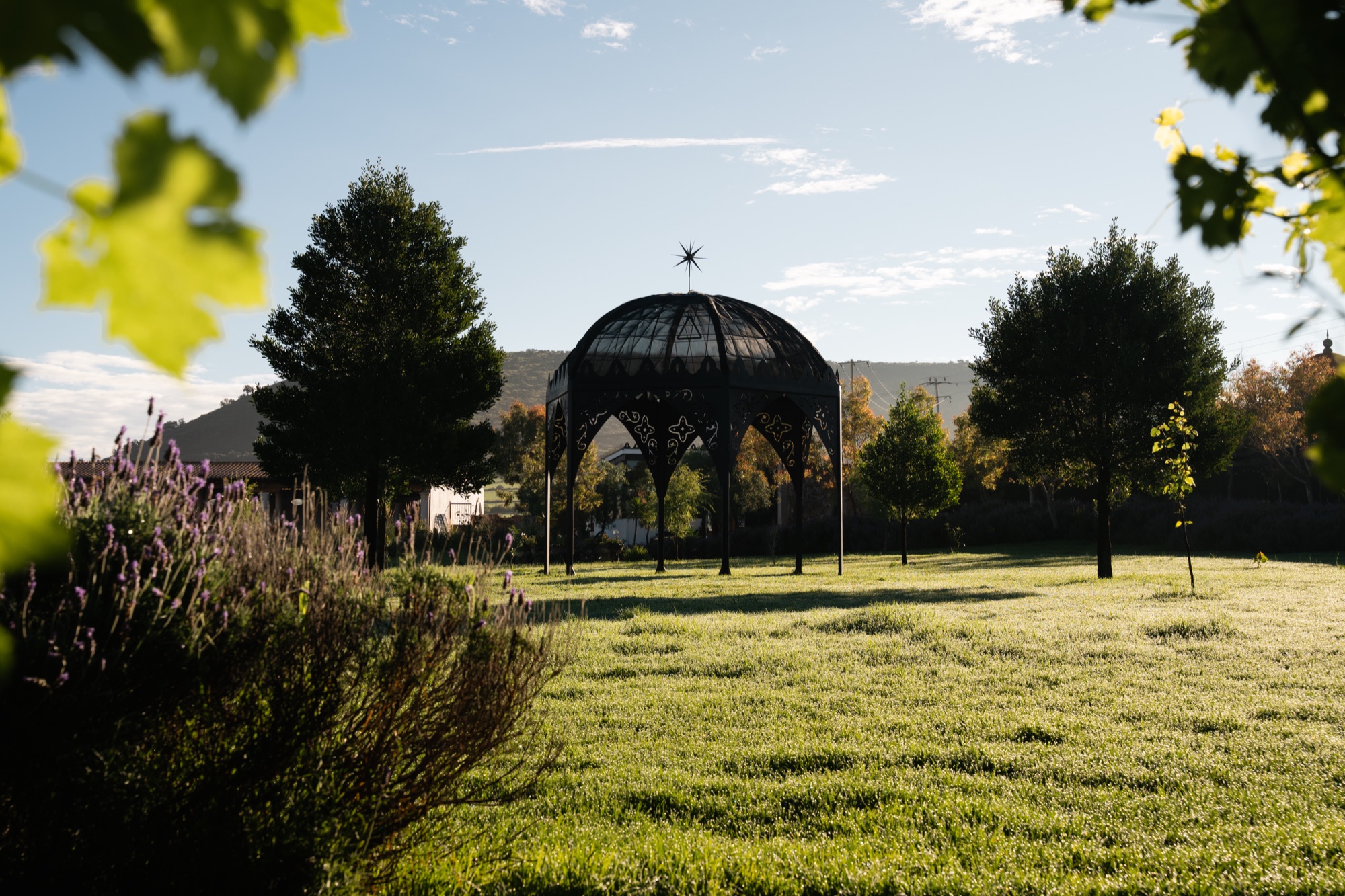 Eventos sociales y familiares en la hacienda